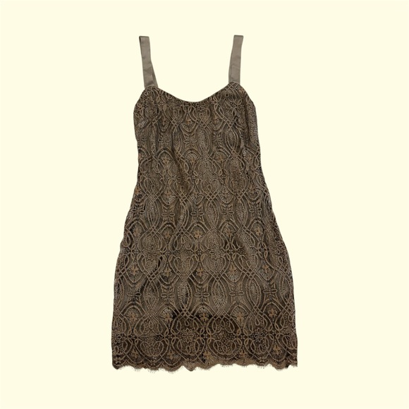 True Vintage Silk Lace Dress